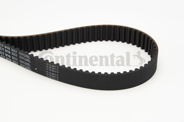 Timing Belt